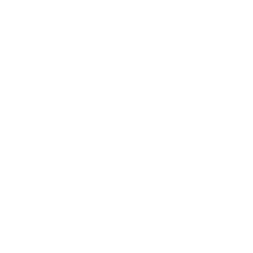 AUTO REPAIR SERVICES
